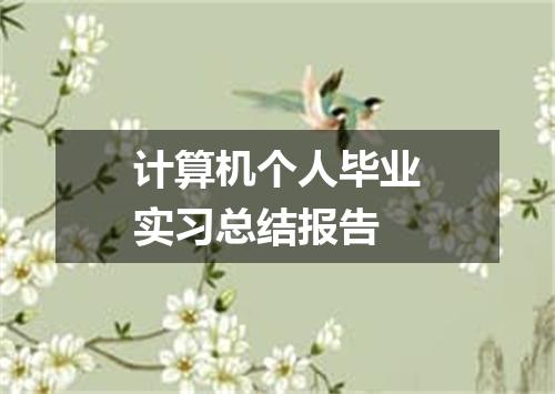 计算机个人毕业实习总结报告