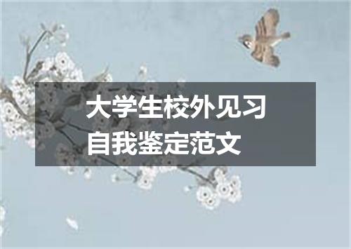 大学生校外见习自我鉴定范文