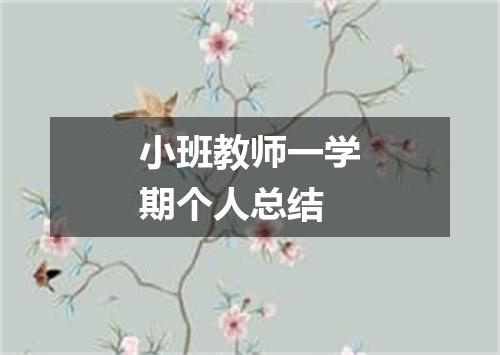 小班教师一学期个人总结