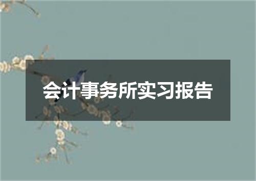 会计事务所实习报告