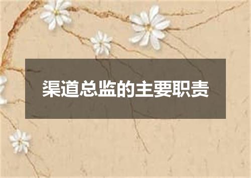 渠道总监的主要职责