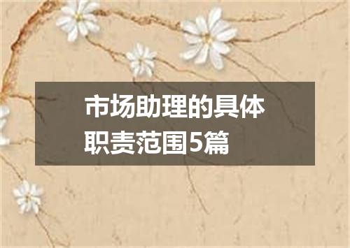 市场助理的具体职责范围5篇