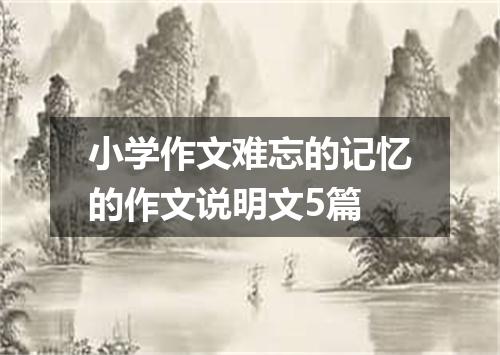 小学作文难忘的记忆的作文说明文5篇