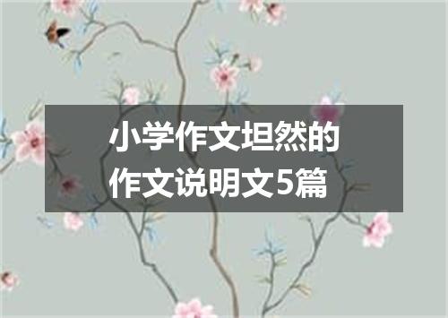小学作文坦然的作文说明文5篇