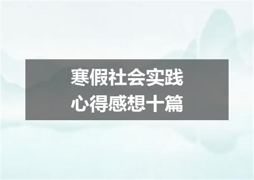 寒假社会实践心得感想十篇