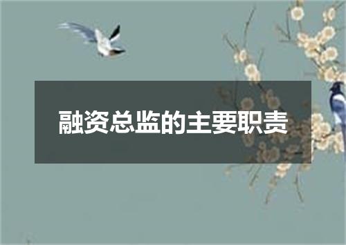 融资总监的主要职责
