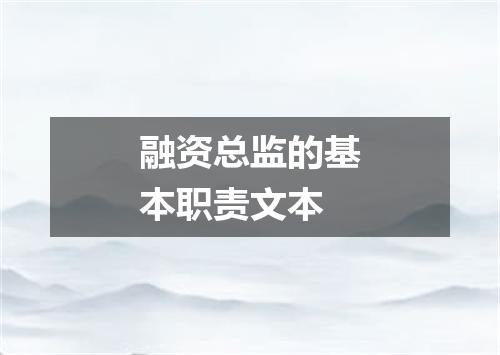 融资总监的基本职责文本