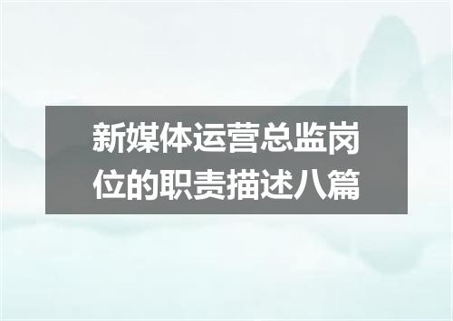 新媒体运营总监岗位的职责描述八篇