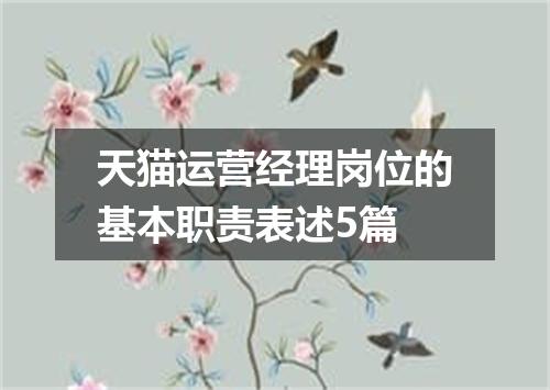 天猫运营经理岗位的基本职责表述5篇
