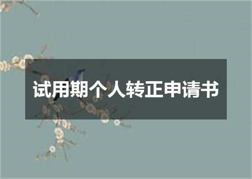 试用期个人转正申请书
