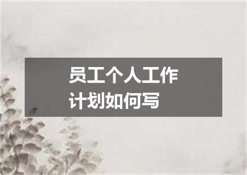 员工个人工作计划如何写