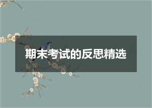 期末考试的反思精选