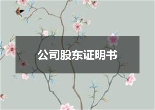 公司股东证明书