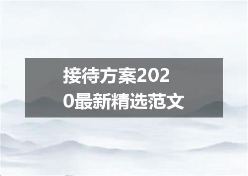 接待方案2020最新精选范文