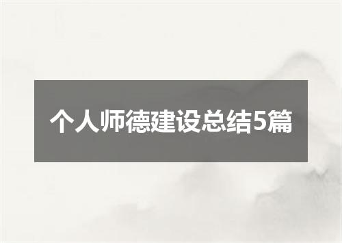 个人师德建设总结5篇