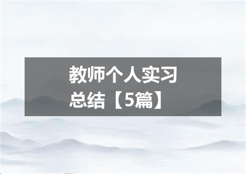 教师个人实习总结【5篇】