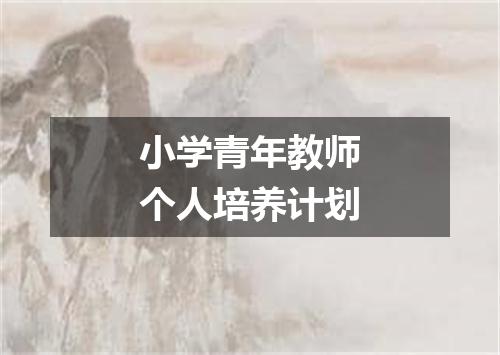 小学青年教师个人培养计划