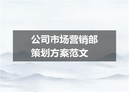 公司市场营销部策划方案范文