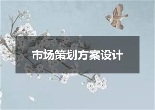 市场策划方案设计