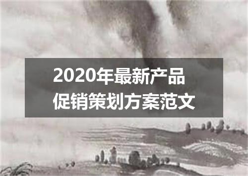 2020年最新产品促销策划方案范文
