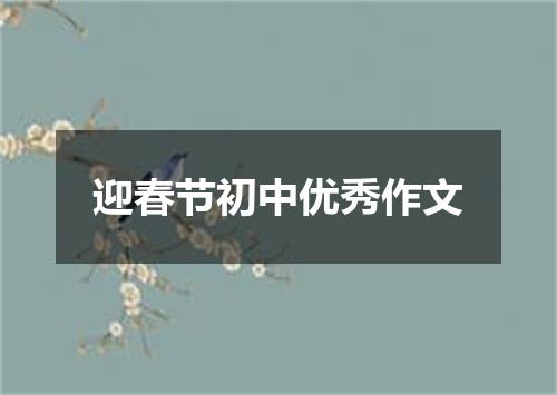 迎春节初中优秀作文