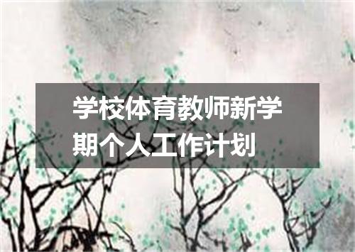 学校体育教师新学期个人工作计划