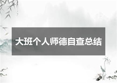大班个人师德自查总结