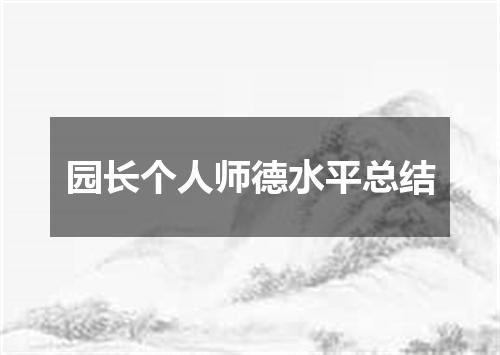 园长个人师德水平总结
