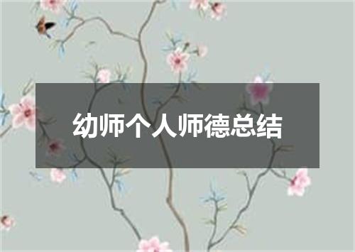 幼师个人师德总结