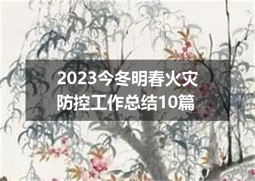 2023今冬明春火灾防控工作总结10篇