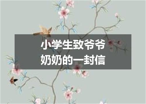 小学生致爷爷奶奶的一封信