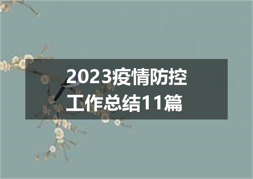 2023疫情防控工作总结11篇