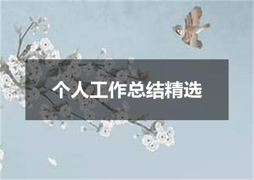 个人工作总结精选