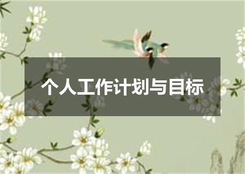 个人工作计划与目标