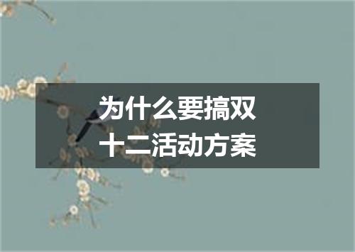 为什么要搞双十二活动方案