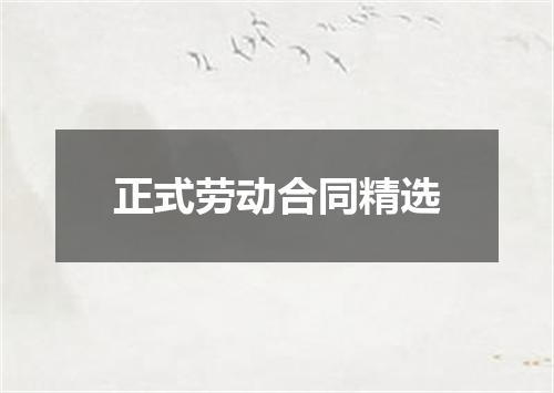 正式劳动合同精选