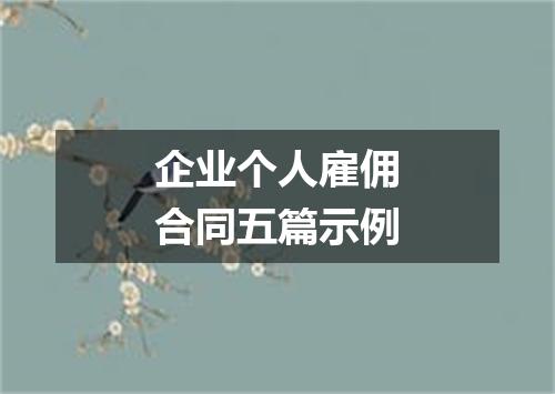 企业个人雇佣合同五篇示例