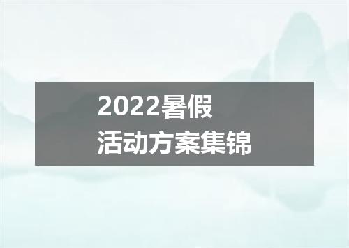2022暑假活动方案集锦