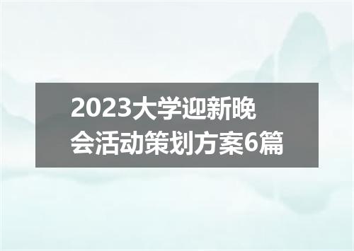 2023大学迎新晚会活动策划方案6篇
