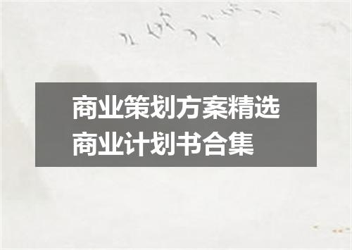 商业策划方案精选商业计划书合集