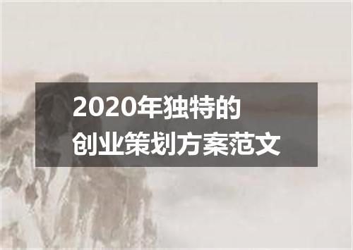 2020年独特的创业策划方案范文