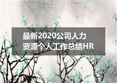 最新2020公司人力资源个人工作总结HR