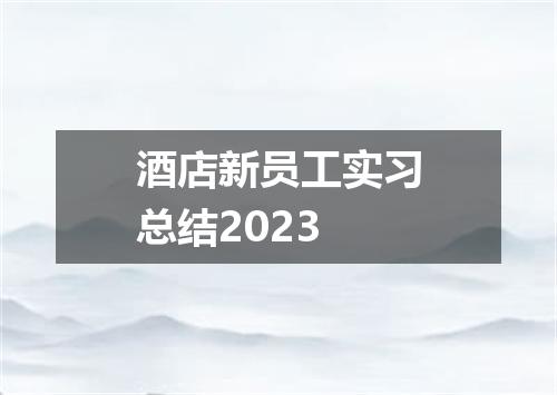 酒店新员工实习总结2023
