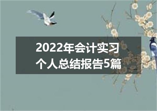 2022年会计实习个人总结报告5篇