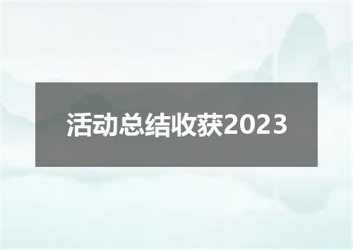 活动总结收获2023