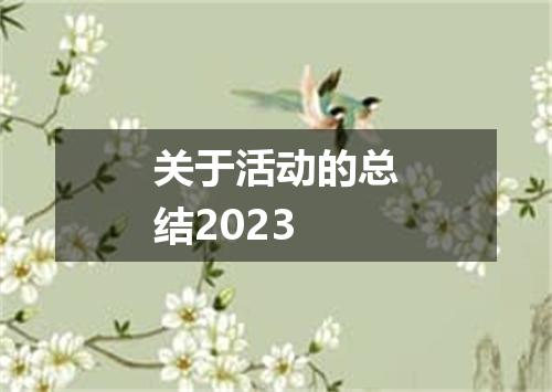 关于活动的总结2023
