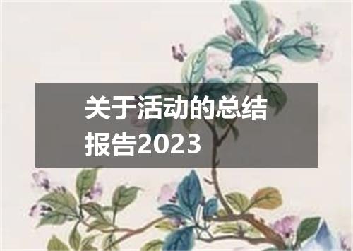 关于活动的总结报告2023