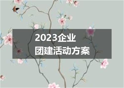 2023企业团建活动方案