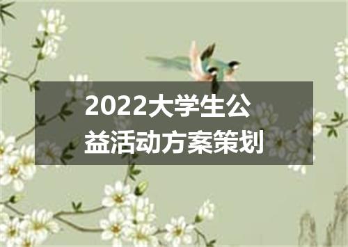 2022大学生公益活动方案策划