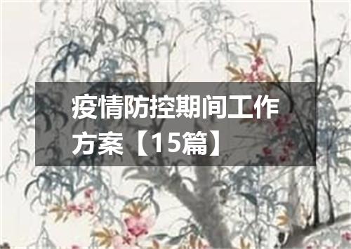 疫情防控期间工作方案【15篇】